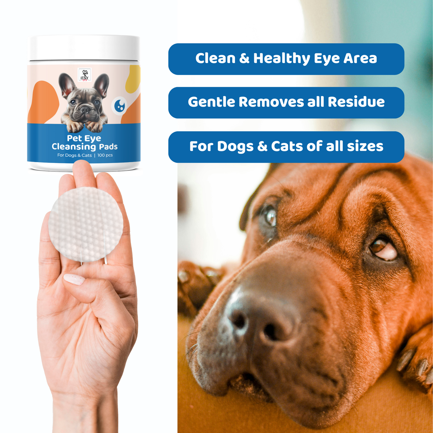 ITSY Pets Augenreinigungspads für Hunde und Katzen