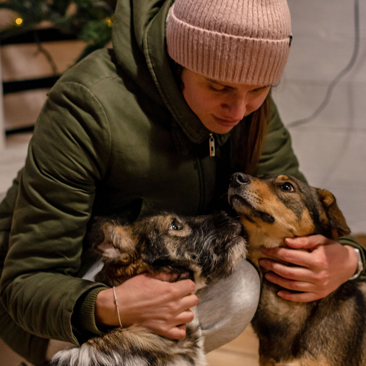 Why Your Dog's Skin Gets Dry in Winter (and How to Fix It) - ITSY Pets