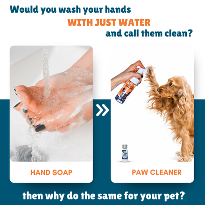 ITSY Pets 10ml Plastic - Free Concentrated Refill for Foaming Paw Cleaner