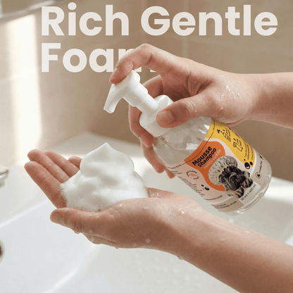 Dog Mousse Shampoo 3 - Pack Refill | Vanilla Cuddle Scent - ITSY Pets