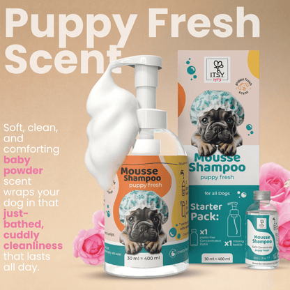 Dog Mousse Shampoo Starter Pack | Puppy Fresh Scent - ITSY Pets