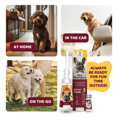 ITSY Pets 10ml Plastic - Free Dry Shampoo Concentrated Refill – 3 - Pack - ITSY Pets