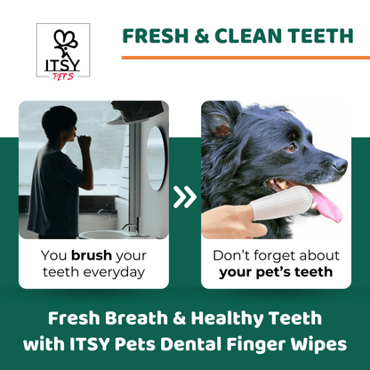 ITSY Pets Dental Finger Wipes For Dogs and Cats - ITSY Pets