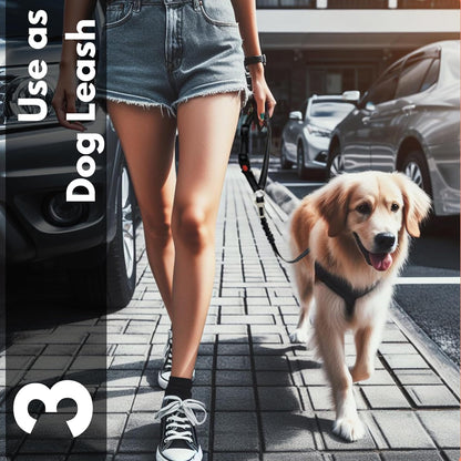 ITSY Pets - Dog Seat Belts for Cars - ITSY Pets