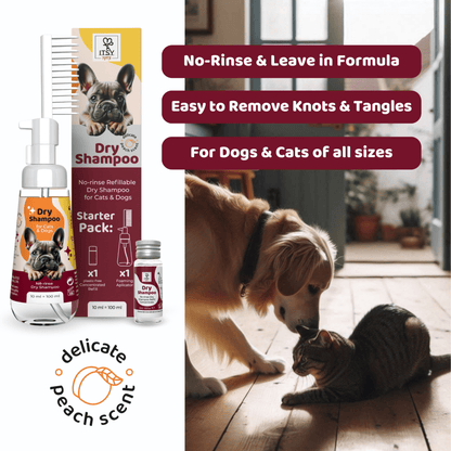 ITSY Pets Dry Shampoo for Dogs & Cats - Starter Pack - ITSY Pets