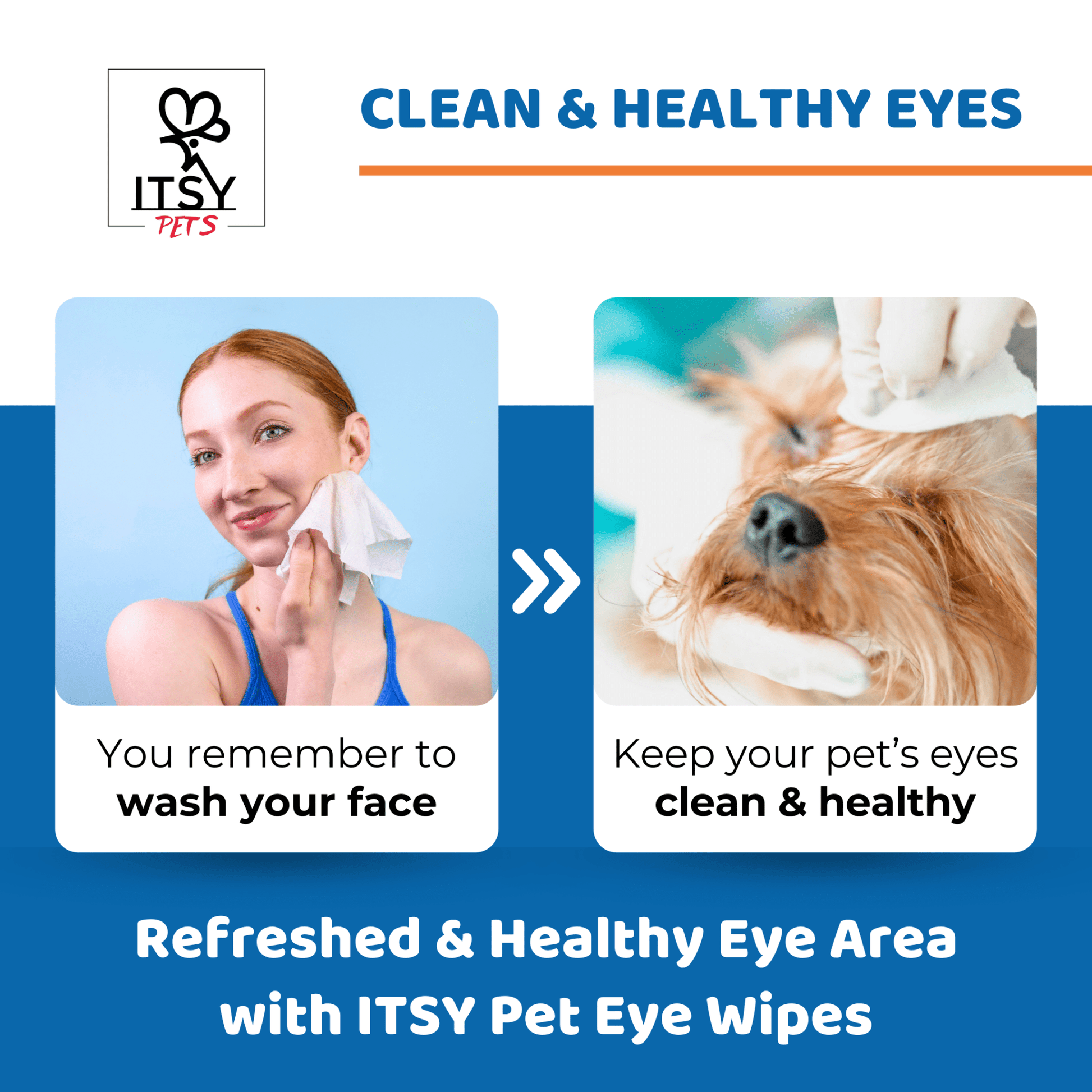ITSY Pets Eye Cleansing Pads for Dogs & Cats - ITSY Pets