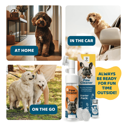 ITSY Pets Paw Cleaner - Starter Pack - ITSY Pets
