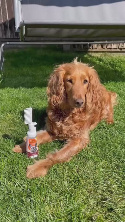 ITSY Pets Dry Shampoo for Dogs & Cats - Starter Pack